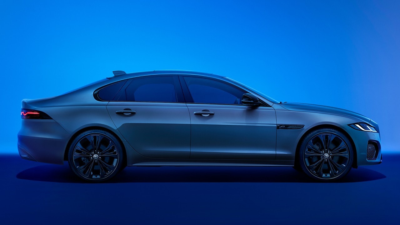 New jaguar merchandise top