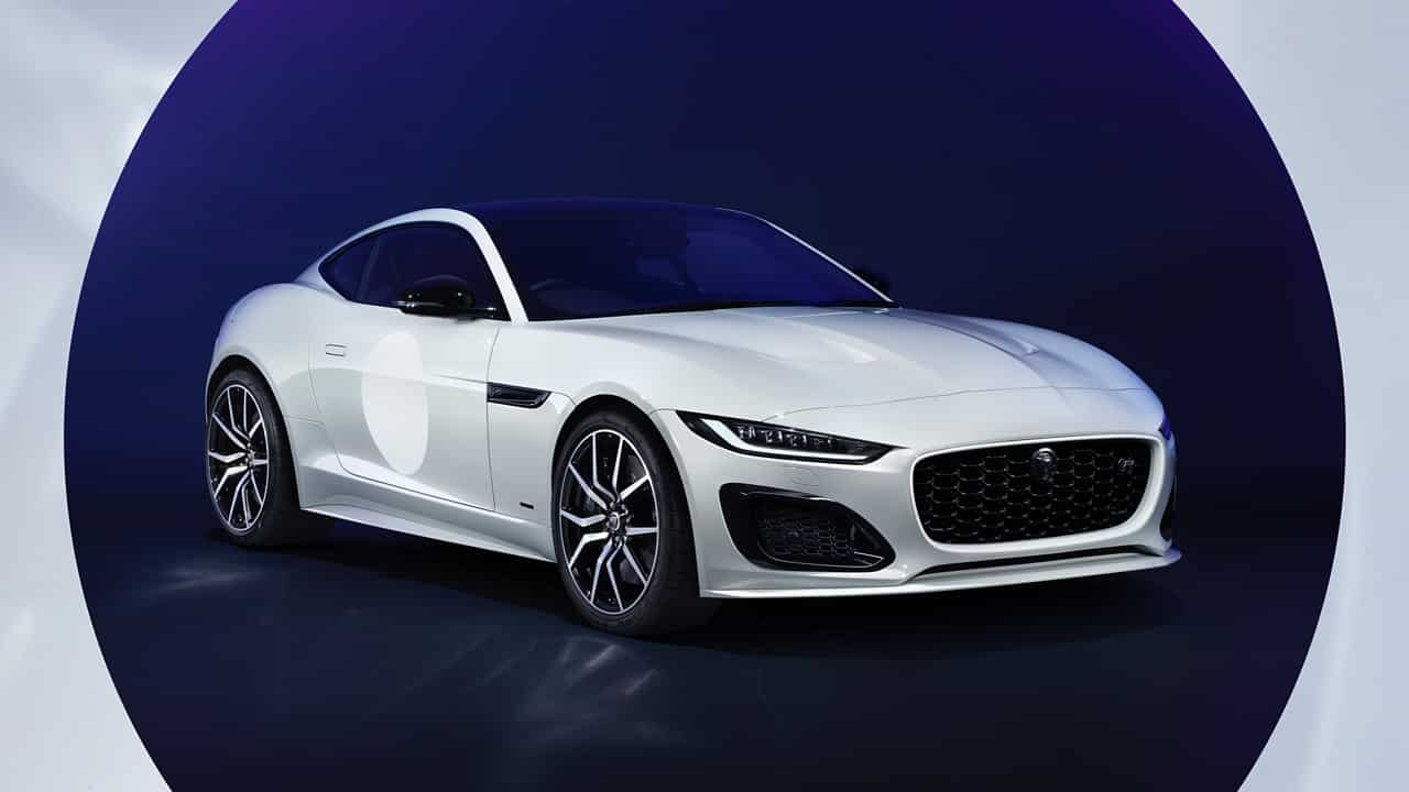 New jaguar merchandise hotsell